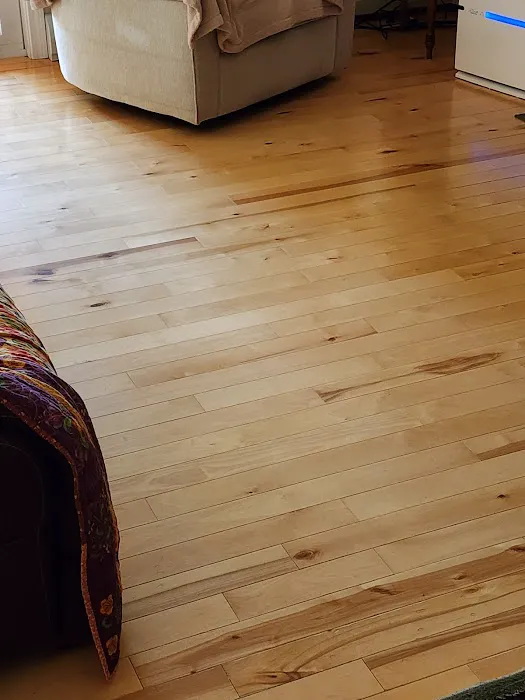 Stanley Steemer Picture 7