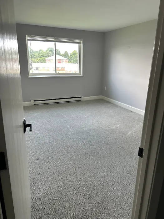 Stanley Steemer Picture 4