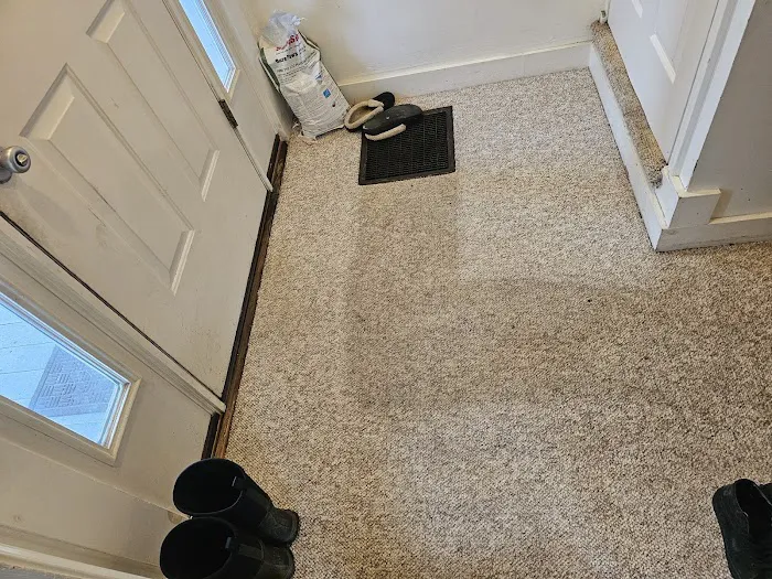 Stanley Steemer Picture 8