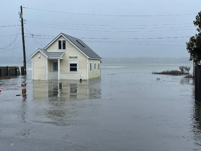 Crowe's Restoration Picture 4