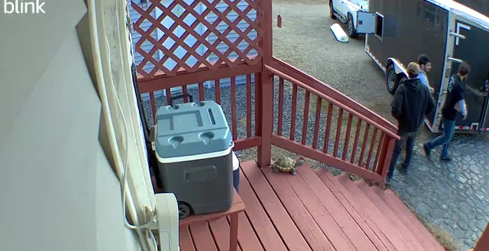 Basement Improvements, LLC Picture 3