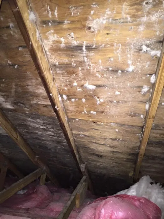 Custom Home Improvement, LLC Picture 6