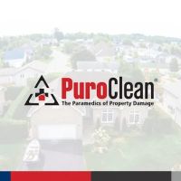 PuroClean Demo ico