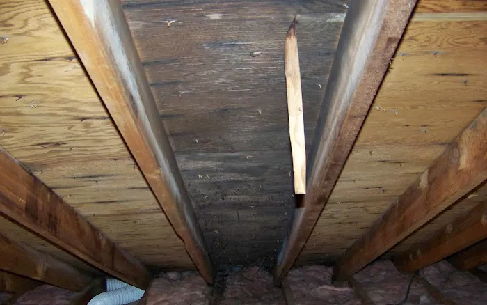 EnviroClean - South Portland Picture 3