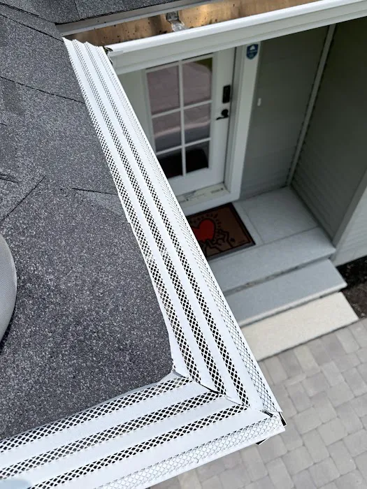 Skyfall Gutters Picture 3