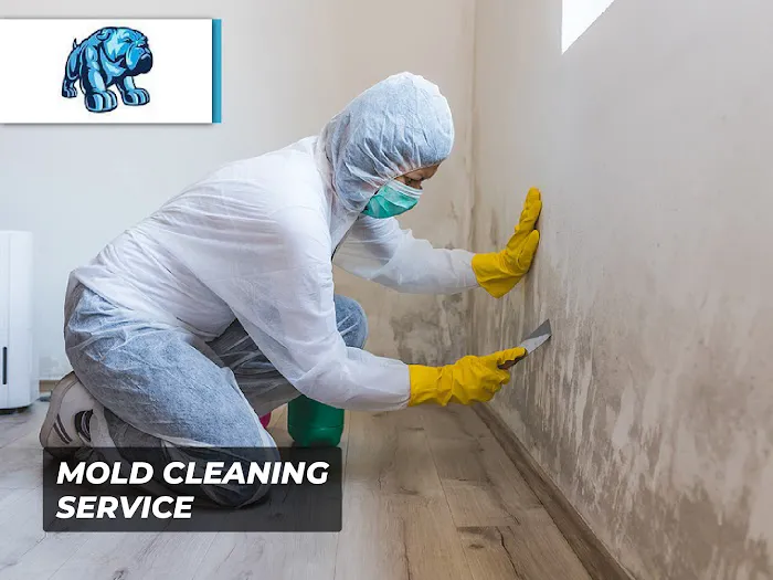 Madison Avenue Construction Corp Picture 8