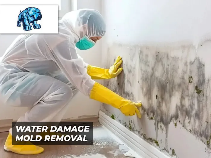 Madison Avenue Construction Corp Picture 1