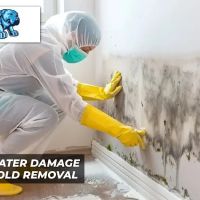 Madison Avenue Construction Corp ico