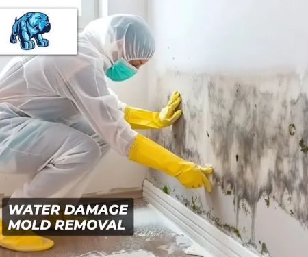 Madison Avenue Construction Corp