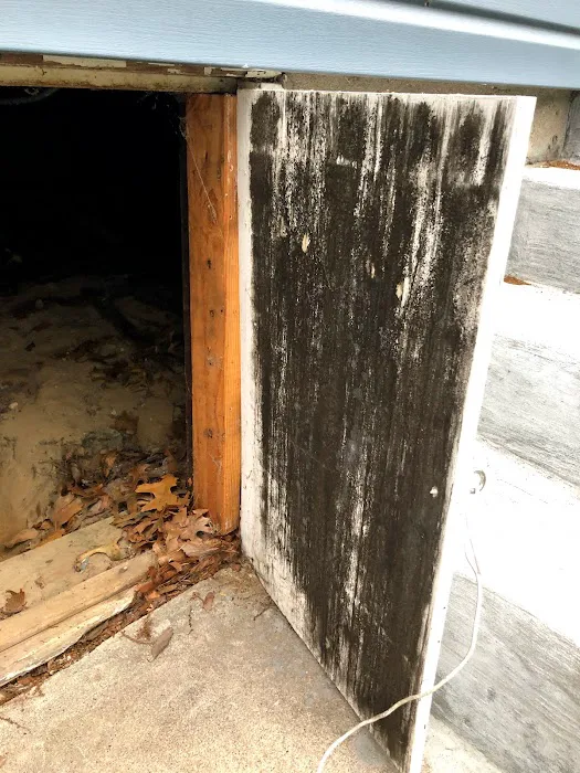 Global Mold Solutions LLC Picture 7