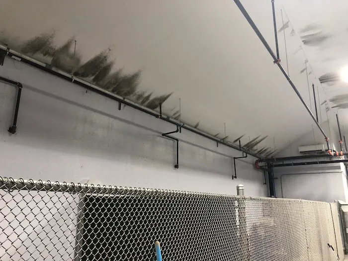 Global Mold Solutions LLC Picture 8