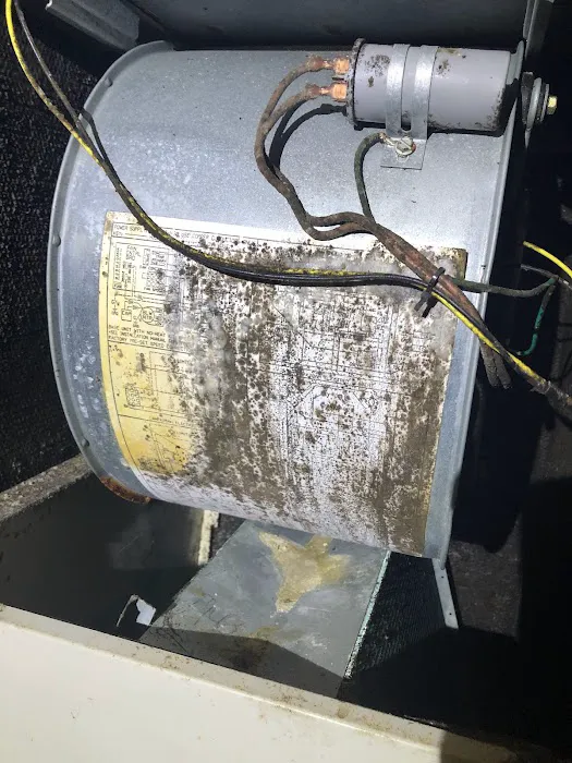 Global Mold Solutions LLC Picture 1