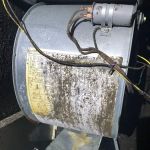 Global Mold Solutions LLC