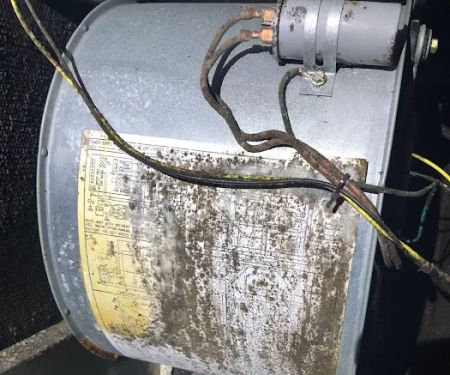 Global Mold Solutions LLC