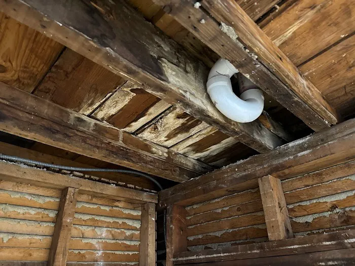 Disaster Cleanup Service Water Damage Restoration Picture 6