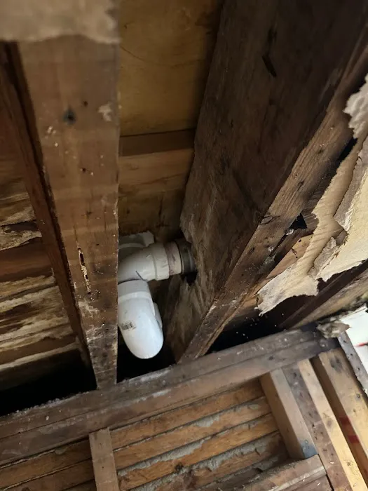 Disaster Cleanup Service Water Damage Restoration Picture 4