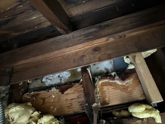 Disaster Cleanup Service Water Damage Restoration Picture 8