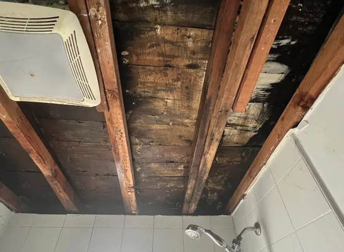 Restoration Pros NY Picture 9