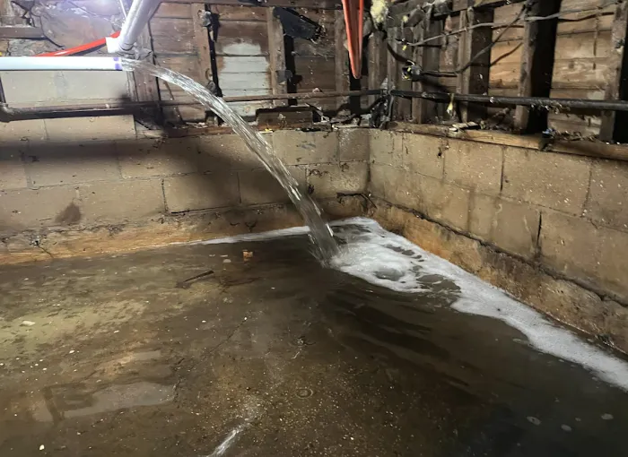 Ace Cleaning & Restoration Picture 2