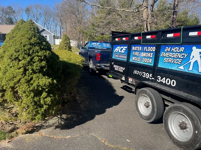 Ace Cleaning & Restoration Picture 3