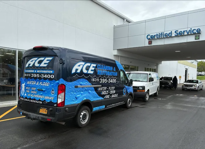 Ace Cleaning & Restoration Picture 6