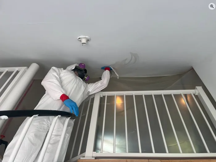 Ace Cleaning & Restoration Picture 5