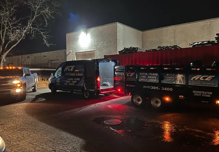 Ace Cleaning & Restoration Picture 4