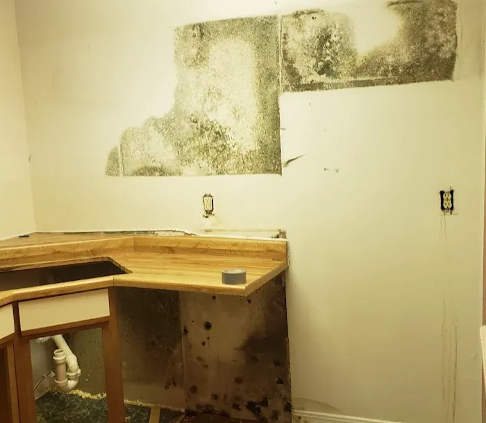 MacFawn Fire & Flood Restoration Picture 1