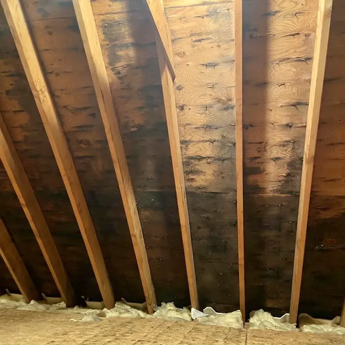 Choice LLC Picture 4