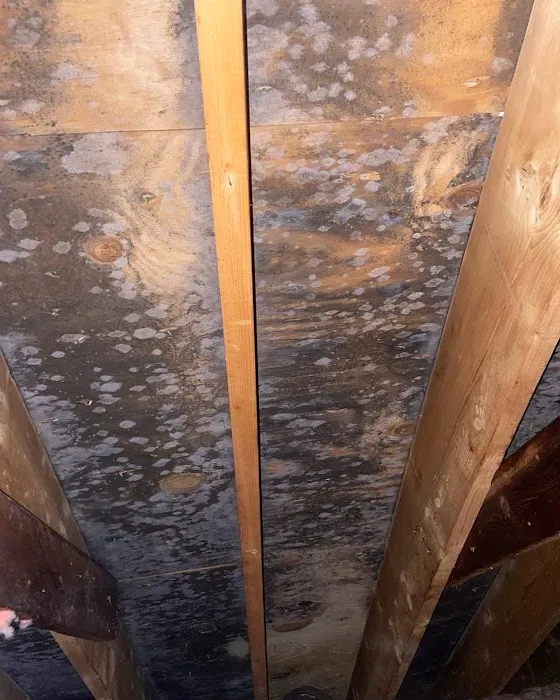 Choice LLC Picture 5