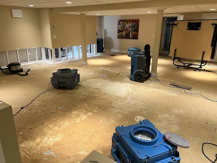 Healthy Buildings & Homes Picture 4