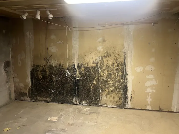 Healthy Buildings & Homes Picture 5