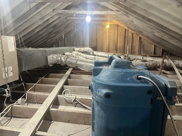 Healthy Buildings & Homes Picture 8