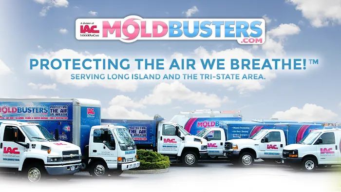 Moldbusters Picture 4