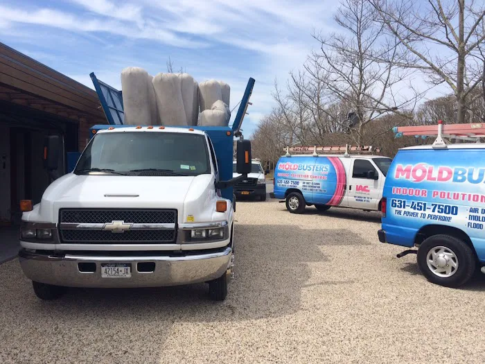 Moldbusters Picture 10