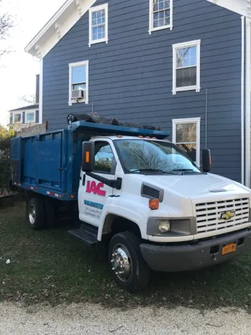 Moldbusters Picture 9