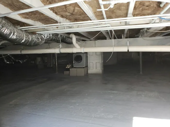 Moldbusters Picture 5