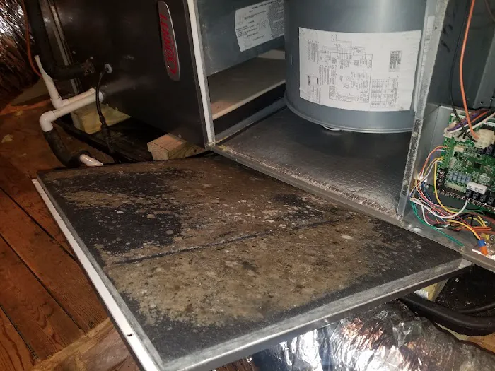 Moldbusters Picture 1