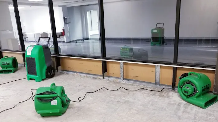 Green Island Group Picture 8