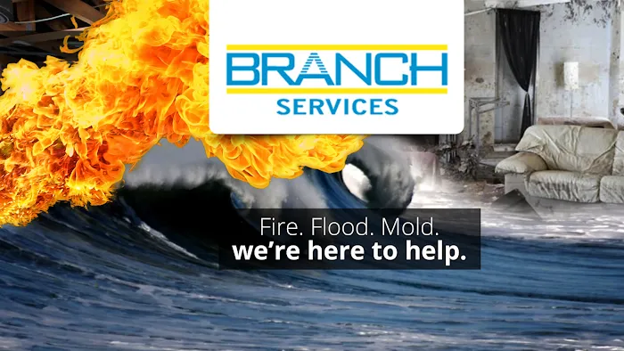 Branch Services Picture 5