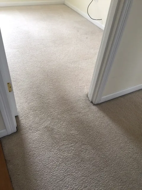 Enviro-Safe Picture 1