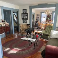 Elite Carpet Cleaning Pros ico