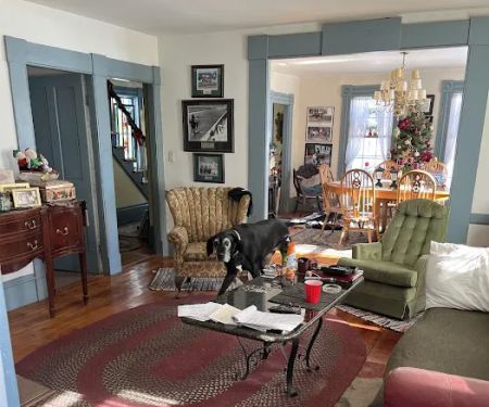 Elite Carpet Cleaning Pros