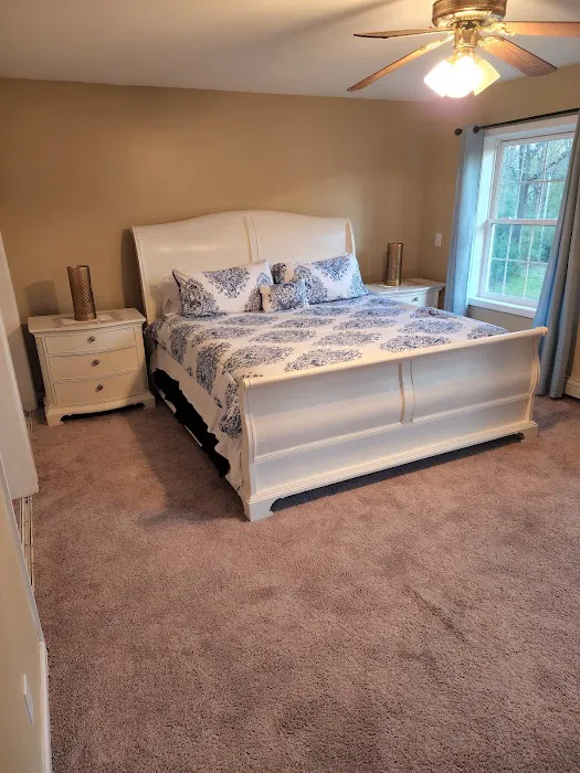 Elite Carpet Cleaning Pros Picture 9