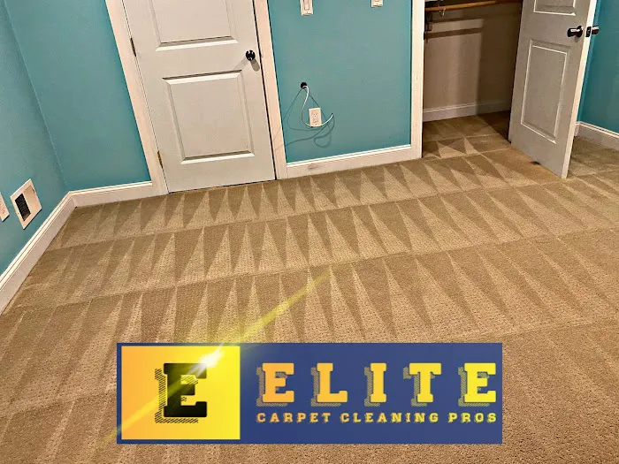 Elite Carpet Cleaning Pros Picture 7