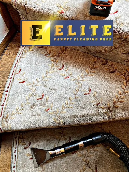 Elite Carpet Cleaning Pros Picture 6