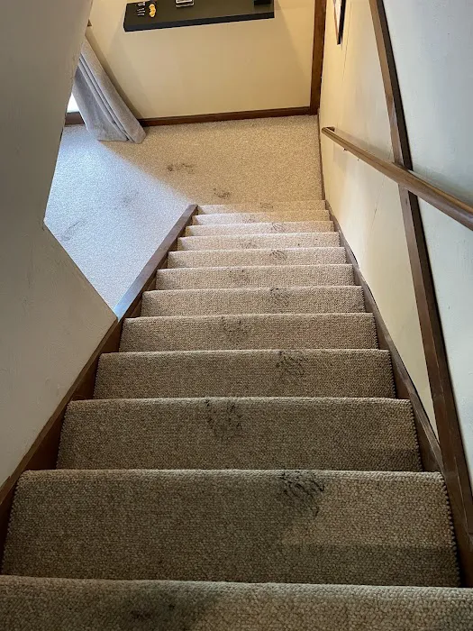 Elite Carpet Cleaning Pros Picture 3