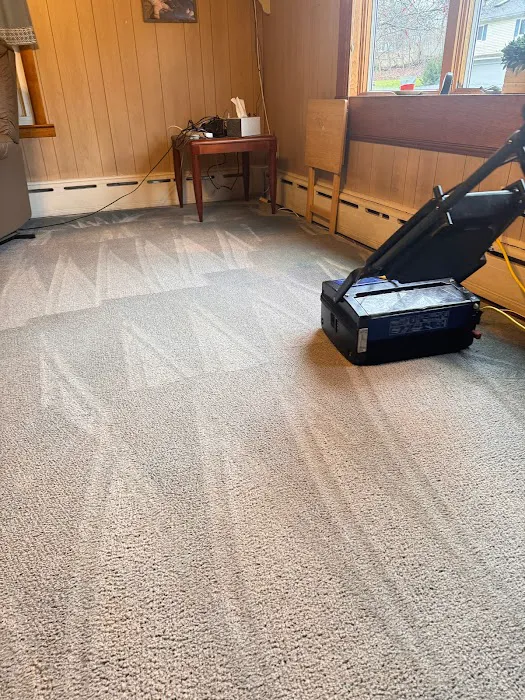Elite Carpet Cleaning Pros Picture 5