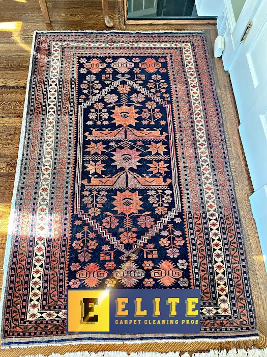 Elite Carpet Cleaning Pros Picture 10