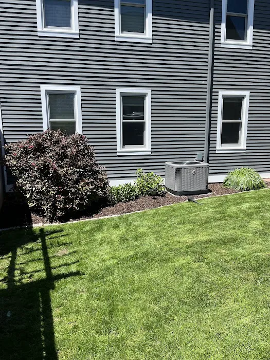 Politis Painting Picture 10